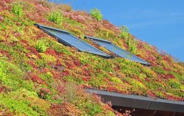 Plushabridge living roof systems