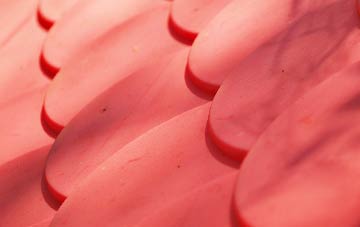 Plushabridge plastic roof costs