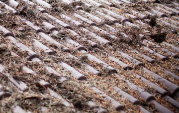 Plushabridge roof cleaning companies