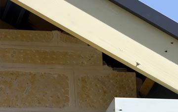 soffit repair Plushabridge