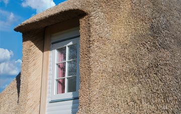 Plushabridge thatch roof disadvantages